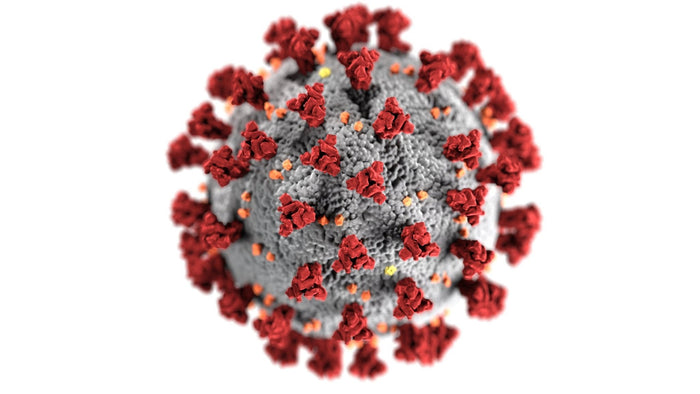 Was nach dem Virus bleibt: Strategien gegen Muskelschmerzen nach Corona