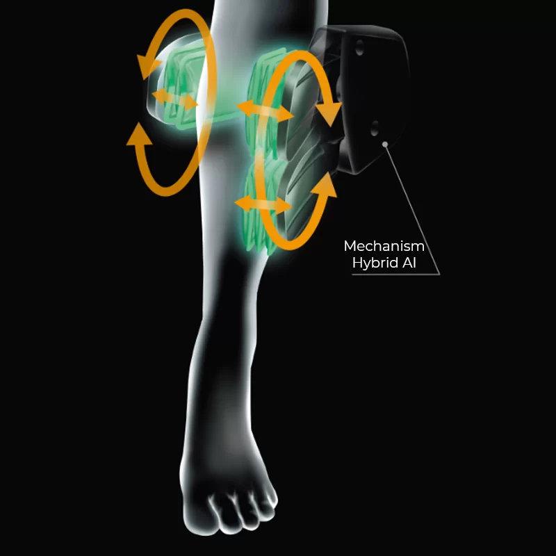 Family Inada Therapina Robo HCP-LPN30000